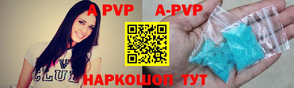 Галлюциногенные грибы Новозыбков