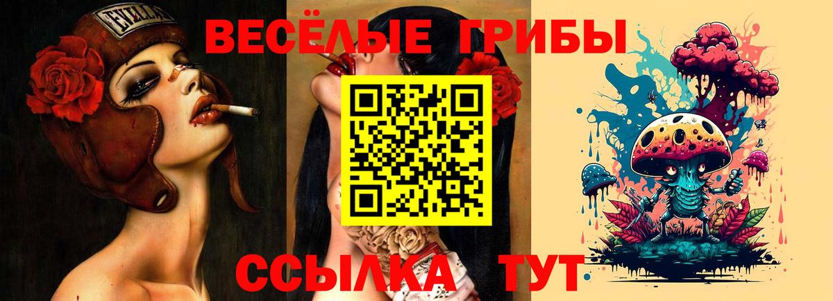 Новозыбков  Галлюциногенные грибы прущие грибы  Вход с VPN  наркотики  Псилоцибиновые грибы GOLDEN TEACHER 