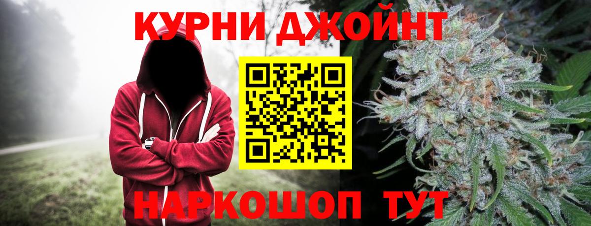 Бошки марихуана планчик  Вход с VPN  Новозыбков  Бошки Шишки SATIVA & INDICA  Канабис сатива 