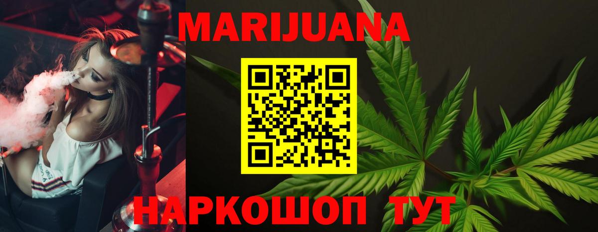 Канабис план Новозыбков